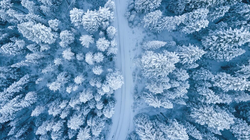 A road covered in snow passing through a forest.